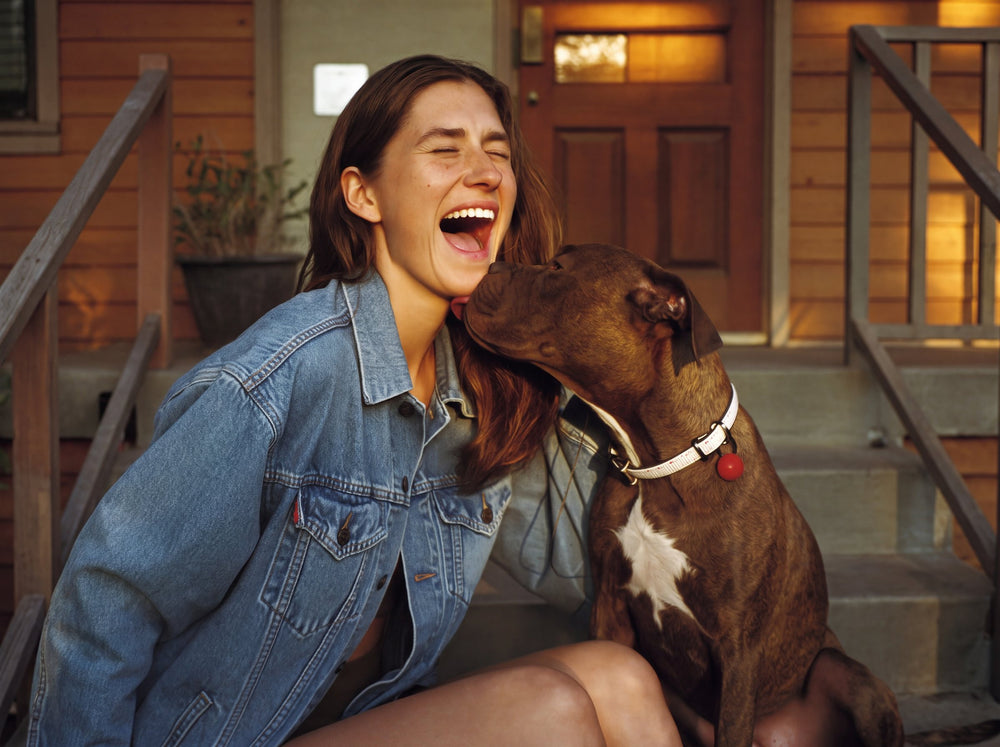 Woman laughing on her porch steps while her brindle pit bull licks her chin