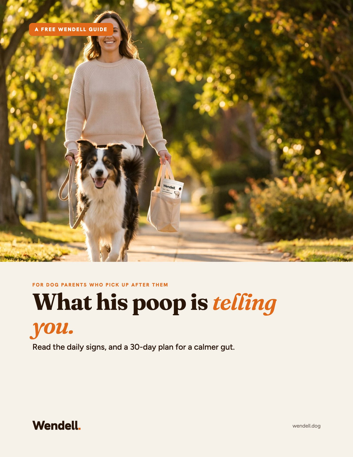 The Gut Guide: What His Poop Is Telling You (eBook)
