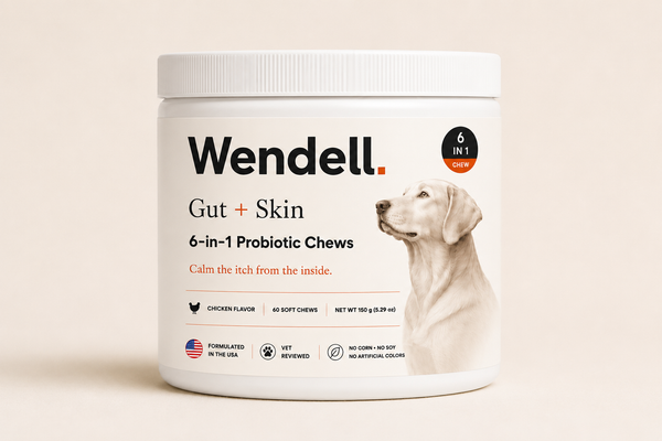 Wendell. Gut + Skin Soft Chews